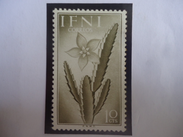 Ed:ES-IF 104 - Stapelia Sp- Cactus- País: Ifni (Antigua provincia Española, hasta 1969)