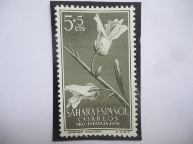 Ed:ES-SH 126 - Sahara Español - Ntirrhinum- romosissimum - Pro-Infancia 1956