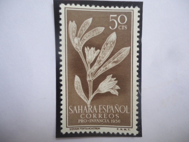 Ed:ES-SH 124 - Sahara Esapañol - Sesivium Portulacastrum - Pro Infancia 1956