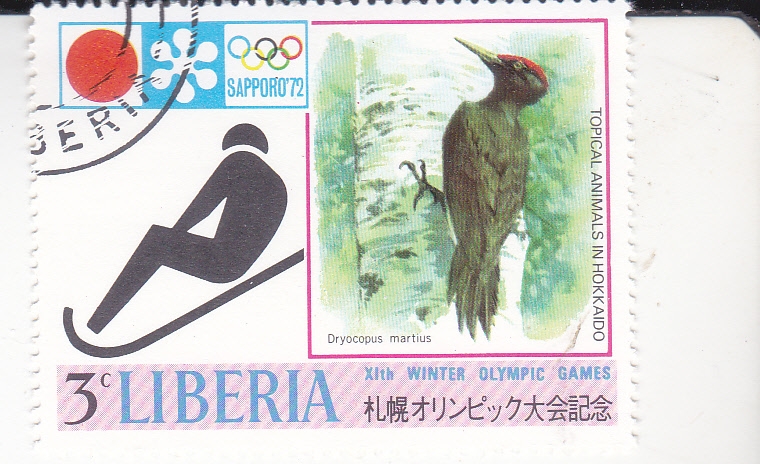 OLIMPIADA DE INVIERNO SAPPORO'72