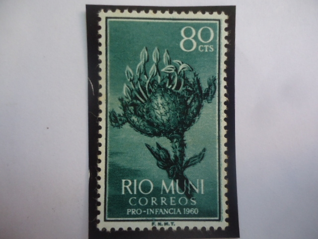 Ed:ES-RM 13 - Planta de Crotón - Río Muni, Español - Región Continental de Guinea Ec. - Pro-Infancia