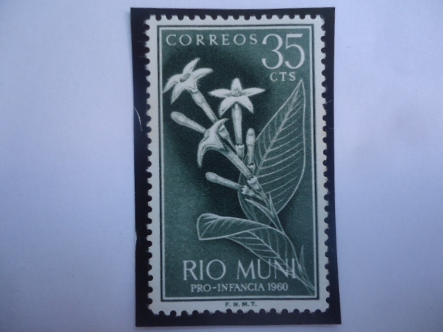 Ed:ES-RM 12 - Planta Quina Quina - Río Muni, Español - Región Continental de Guinea Ec. - Pro-Infanc