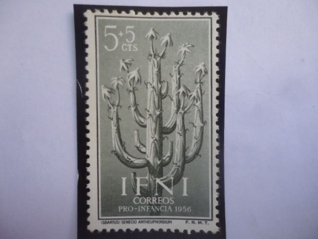 Ed:ES-IF 128- IFNI Español- Cenecio Antheuphorbium-Territorrio en Marruecos - Pro-Infancia 1956