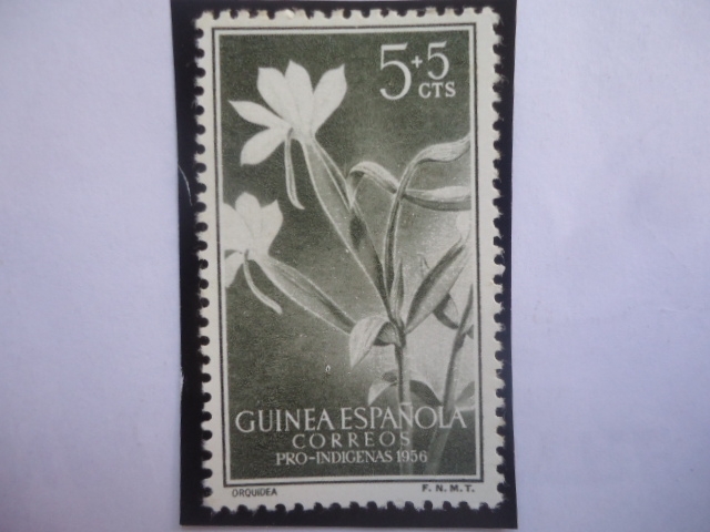 Ed:ES-GN 358 -Flores Angraecum Distichun - Guinea Español - Sello:Pro-Indigena 1956