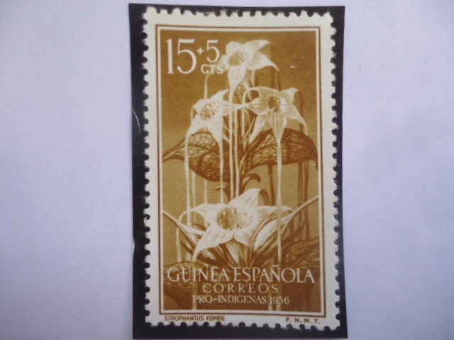 Ed:ES-GN 359- Guinea Española - Flores: Strohanlus Kombe - Sello Pro-Indígenas 1956