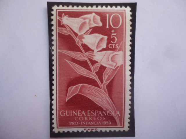 Ed:ES-GN 356 - Guinea Española - Flores: Digitalis Purpures - Sellos: Pro-Indigenas 1956.