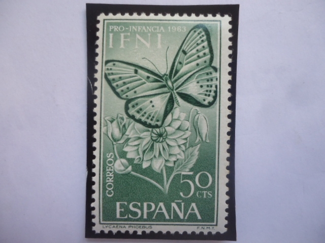 Ed:ES-IF 196 - Lycaena Phoebus - IFNI Español - Sellos: Pro-Infancia 1963