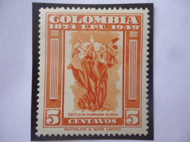 U.P.U. - 75°Aniversario de la Unión Postal Universal (1874-1949) -  cattleya Dowiana Aurea.