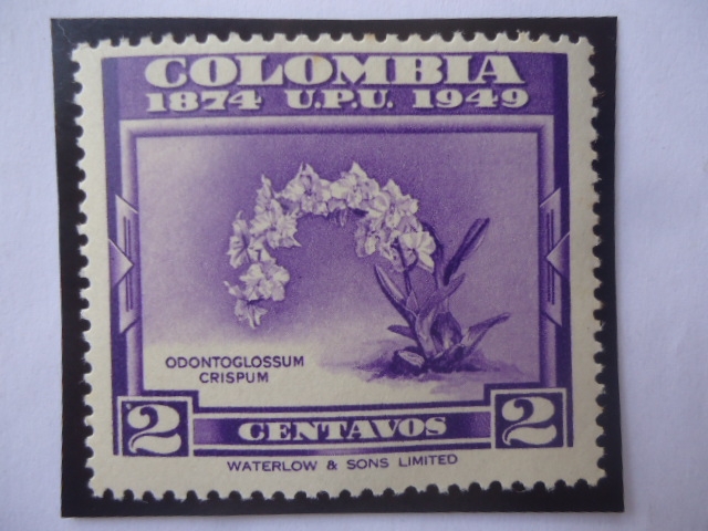 U.P.U. - 75°Aniversario de la Unión Postal Universal (1874-1949) - Odontoglossum Crispum.