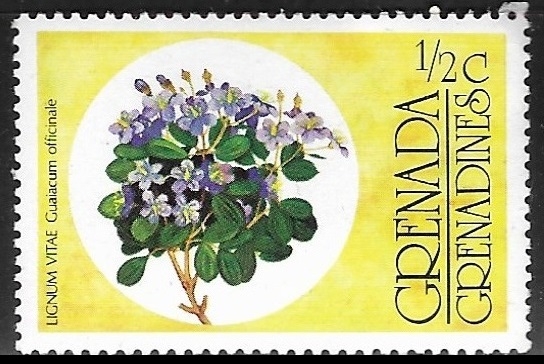 Flores - Lignum Vitae (Guaiacum officinale)