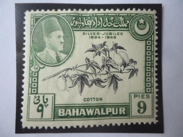 Bahawalpur-Cotton (Gossypium Sp.)-Jubileo de Plata de Sadeq Mohammad Khan V (1924-1949)  