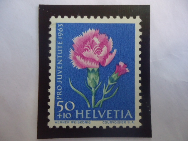 Rosa Clavo (Dianthus Caryophllus)- Serie: Pro Juventud 1963 - Flor de Prado y Jardín.