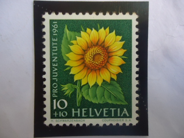 Gira sol (Helianthus annuus) - Serie: Pro Juventud 1961 - Flor de Prado y Jardín.