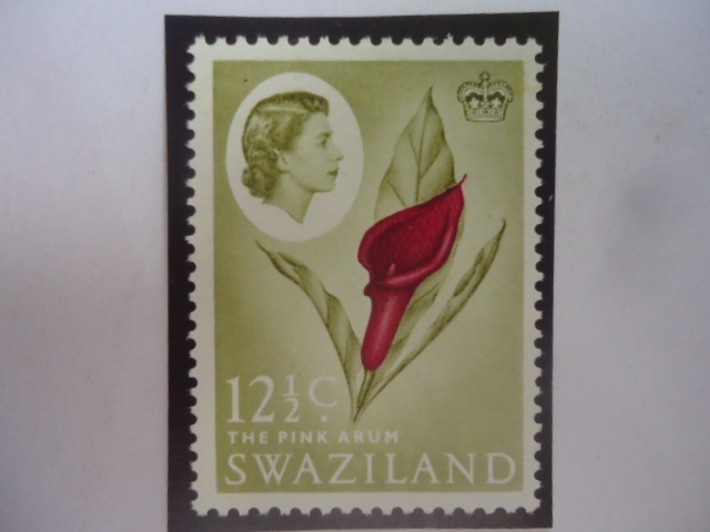 Swazilland ó Reino de Esuatine (África Astral)- The Pink Arum (El Arco Rosa)-Sello de 12, 1/2 cént. 