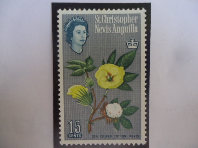 Sea Island Cotton, Nevis - (Algodón de la Isla de mar, Nevis) - Serie: Queen Elizabeth II (1963)