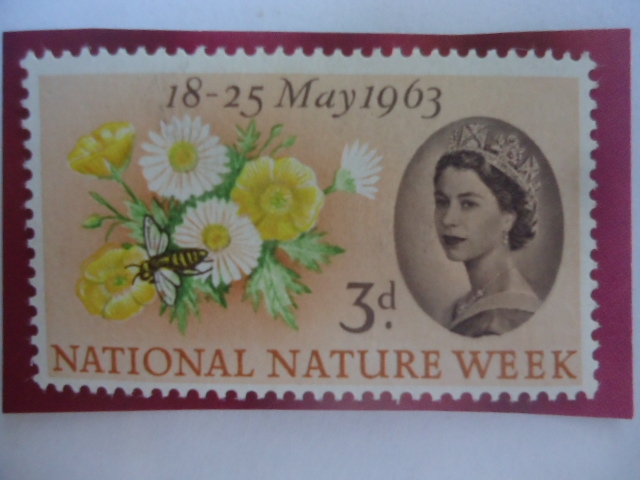 National Nature Week- Semana Nacional de la Naturaleza (18.25. may 1963)-Flores y Abeja de Miel.