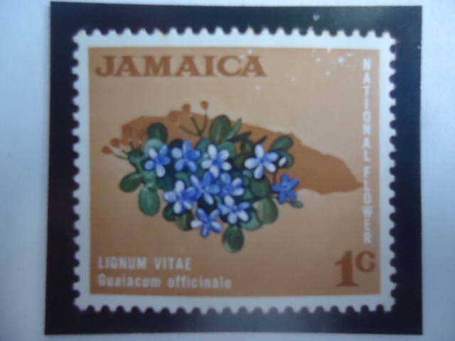 Lignum Vitae - Guaiacum officinale - Flores Nacionales - Sello de 1 céntimo Jamaicano.