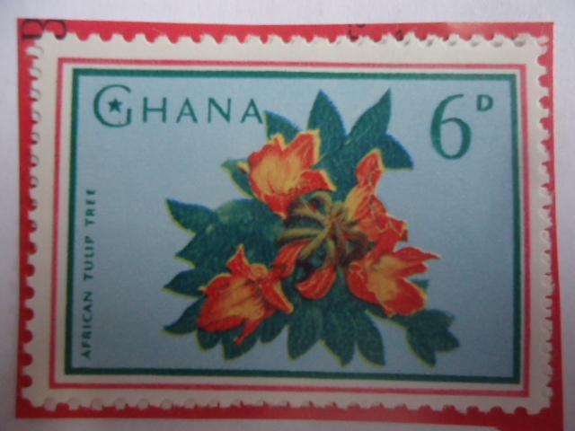 African Tulip Tree - sello de 6 penique de ghana