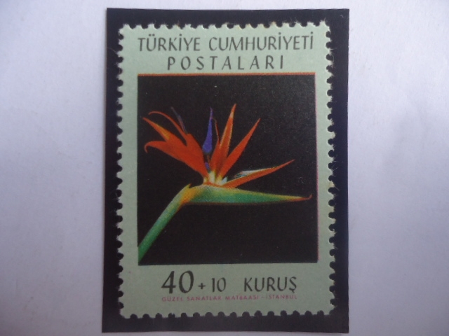 Flor del Paraiso - Serie: Flores en Colores Naturales- Sello de 40+10 kuros Turcos