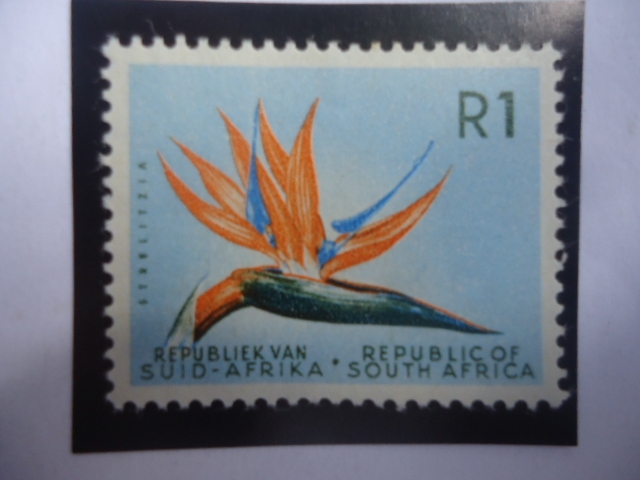 Strelitzia (Strelitzia reginae) - Sello de 1 Rand Sudáfricano