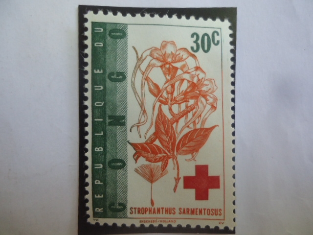 República Democrática (Kinshasa)-Zaire-Serie:Cruz Roja- Stropanthus Sarmentosus-Sello 30 Céntimo Con