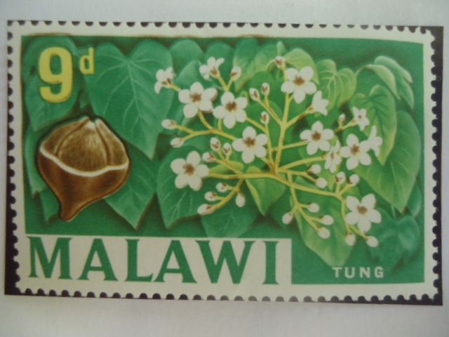 Árbol Tung - Tung de Aceite (Euforbiáceas) - Serie: 1964/67 - Sello de 9 peniques de Malawi. 