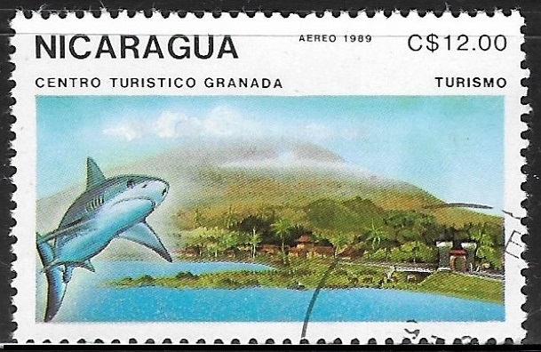 peces - Centro Turístico de Granada