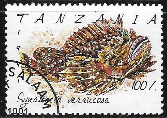 peces - Synanceia verrucosa