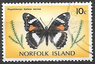 Mariposas (Norfolk)