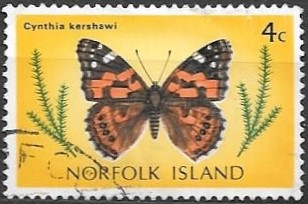 Mariposas (Norfolk)