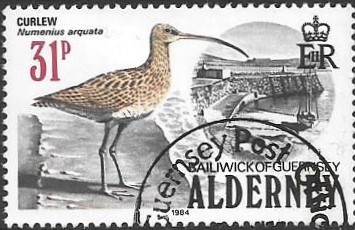 Aves de Alderney