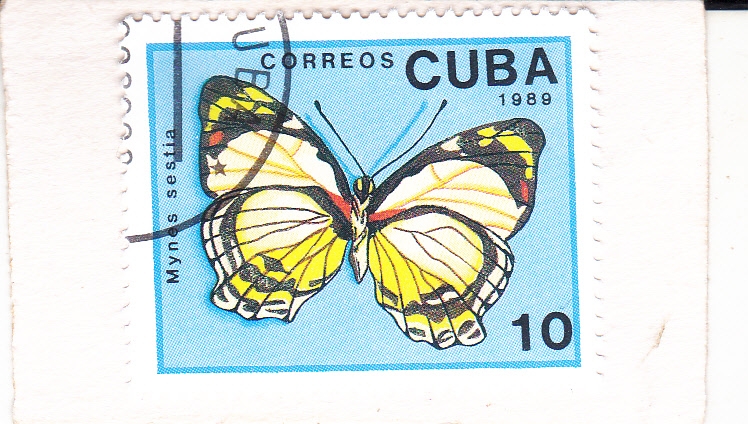 Mariposa
