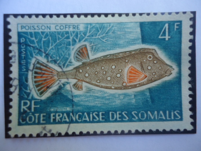 Somalilandia Francesa-Poisson Coffre-Pez Cofre Amarillo-Cote francaise des Somalis