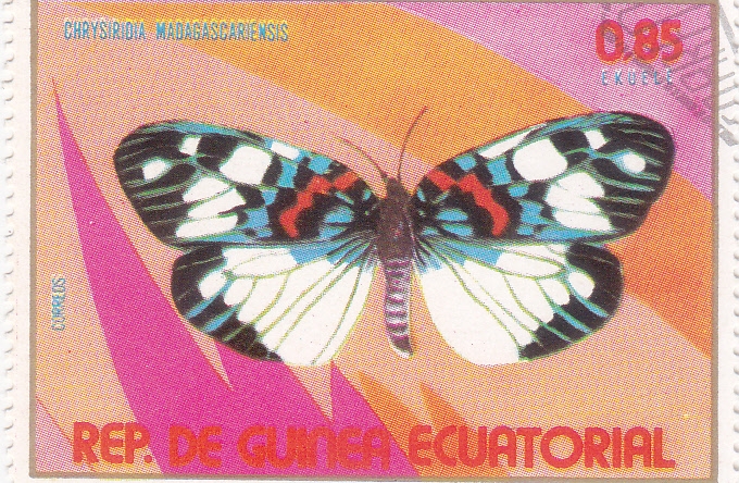 Mariposa