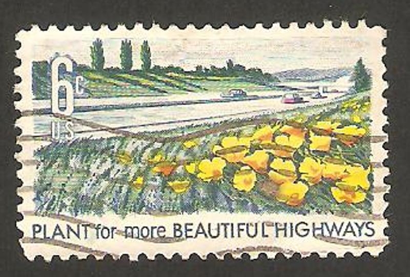 871 - Parterres con flores y una carretera