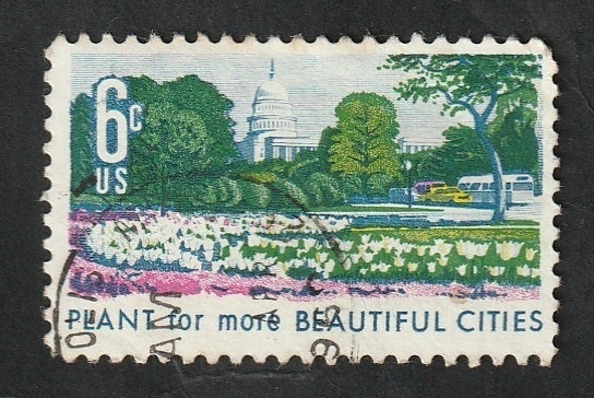 869 - Flores y Capitolio