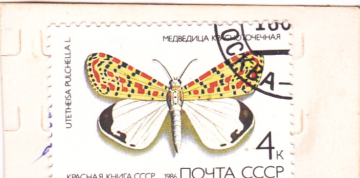 Mariposa