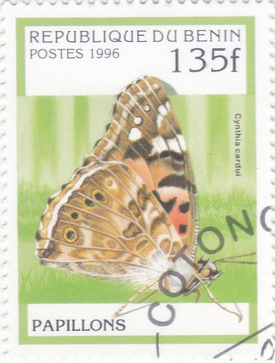 Mariposa