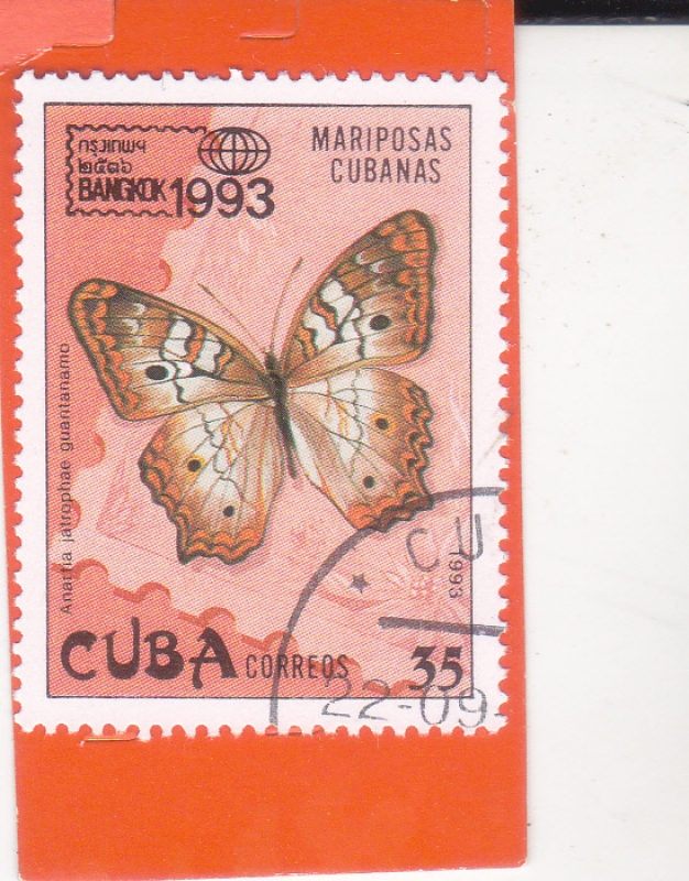 Mariposa