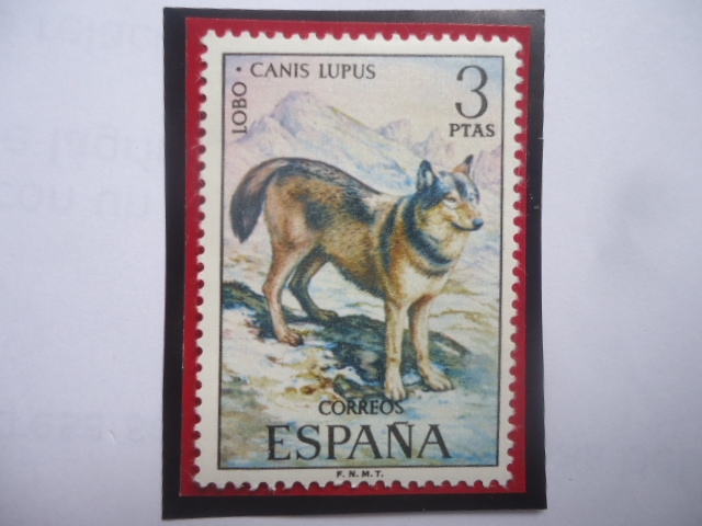 Ed:ES 2104 - Lobo - (Canis Lupus) - Serie: Fauna Hispana  (1972)
