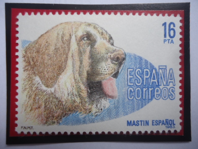 Ed:ES 2712 - Mastin Español (Canis Lupus Familiaris) - Serie: Perros de Raza español