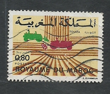 Slidaridad Marroqui  (TUIZA)