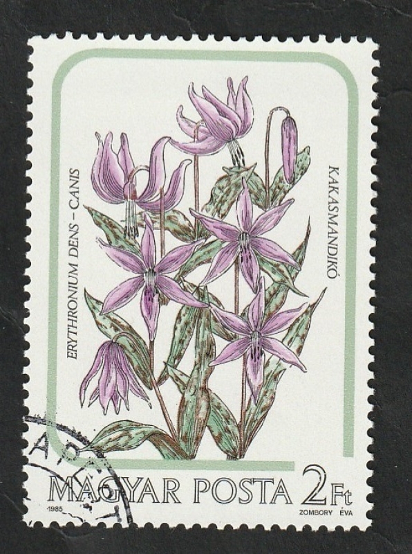 3008 - Flor de Lys