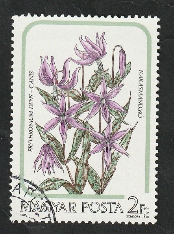 3008 - Flor de Lys