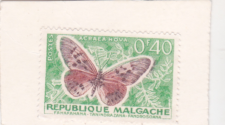 Mariposa