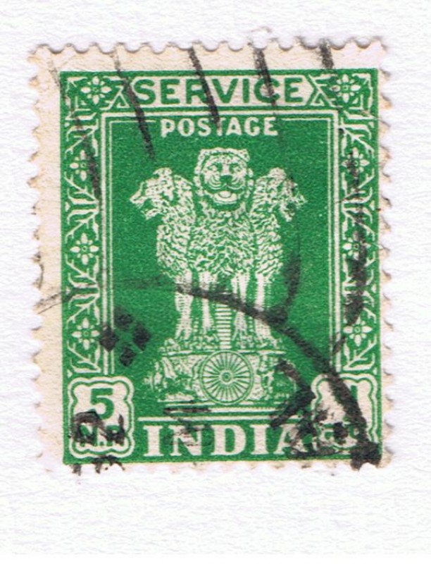 India 7
