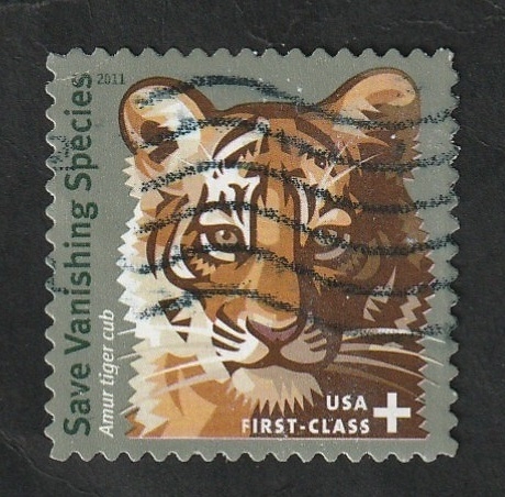 4415 - Protección a las especies, Tigre