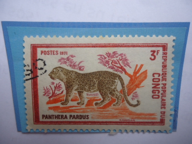 Congo República (Brazzaville-Capital)-Leopardo -Panthera Pardus-Serie:Animales Salvajes África Centr