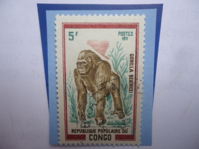 Republica del Congo (Brazzaville)- Gorilla Beringei- Serie: Animales Salvajes (1972)- 5f- FCFA-Franc