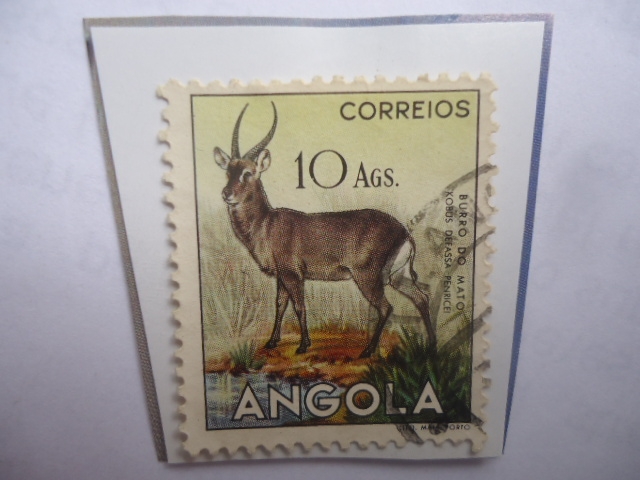 Burro Do Mato (Kobus Defassa Penricei) - Serie: Fauna Africana- Sello de 10 Angolar 